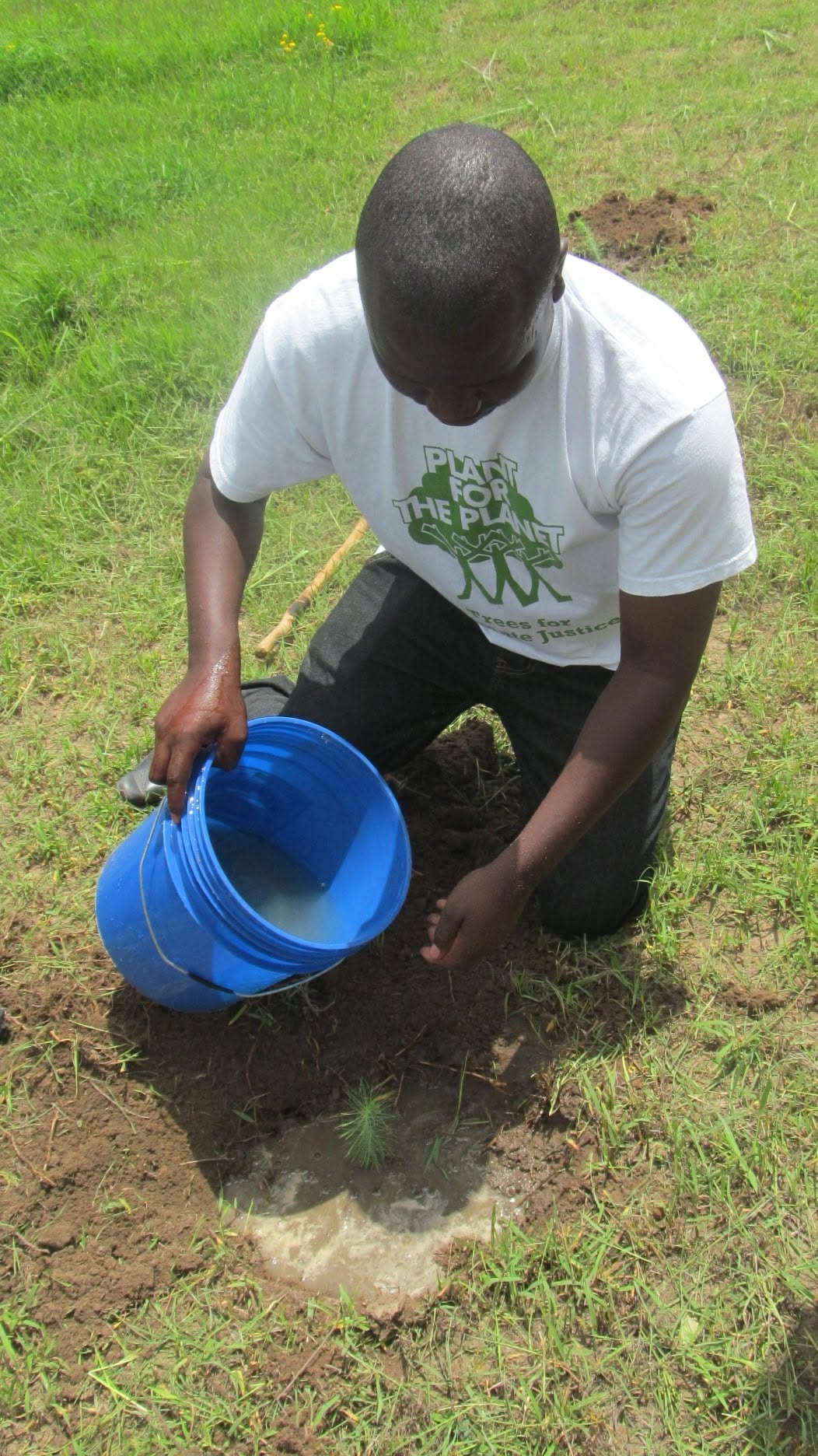 A CHDF volunteer watering a newly planted tree